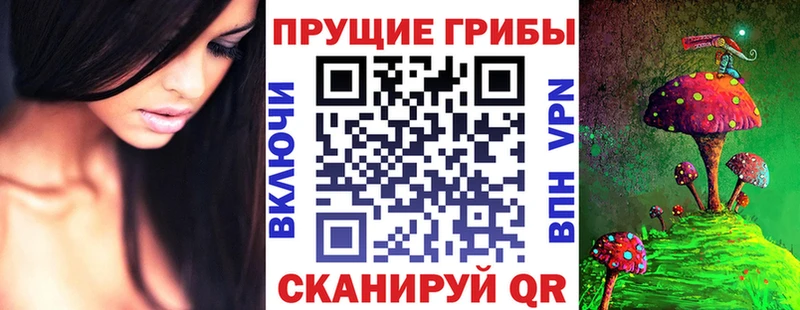 Псилоцибиновые грибы Psilocybe купить mega зеркало Щигры