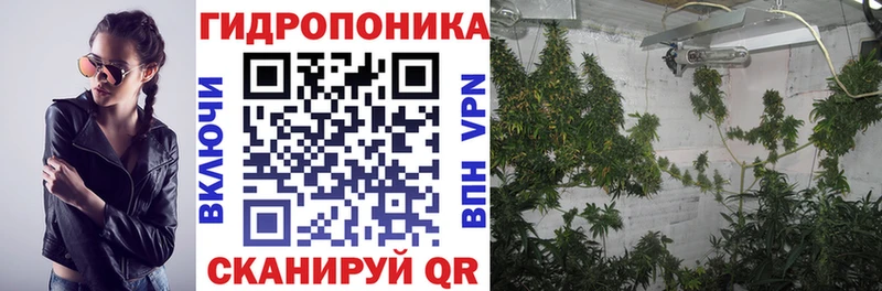 Шишки марихуана конопля Щигры